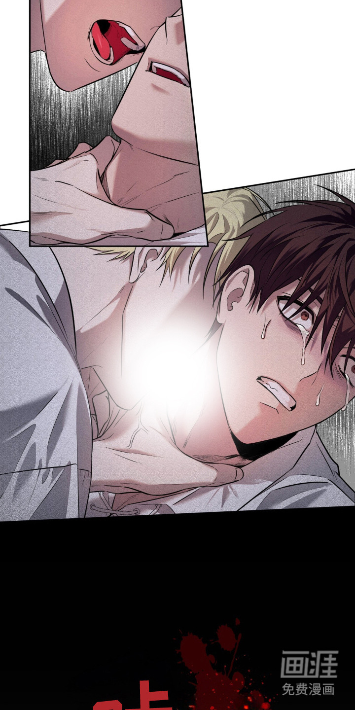 月夜誓言漫画-图18