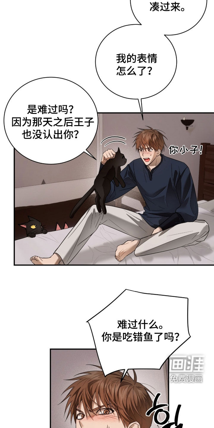 月夜誓言漫画-图15