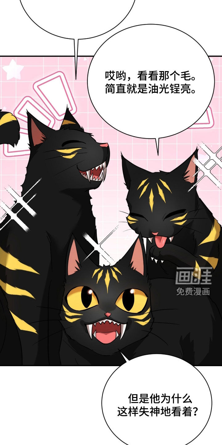 月夜誓言漫画-图10