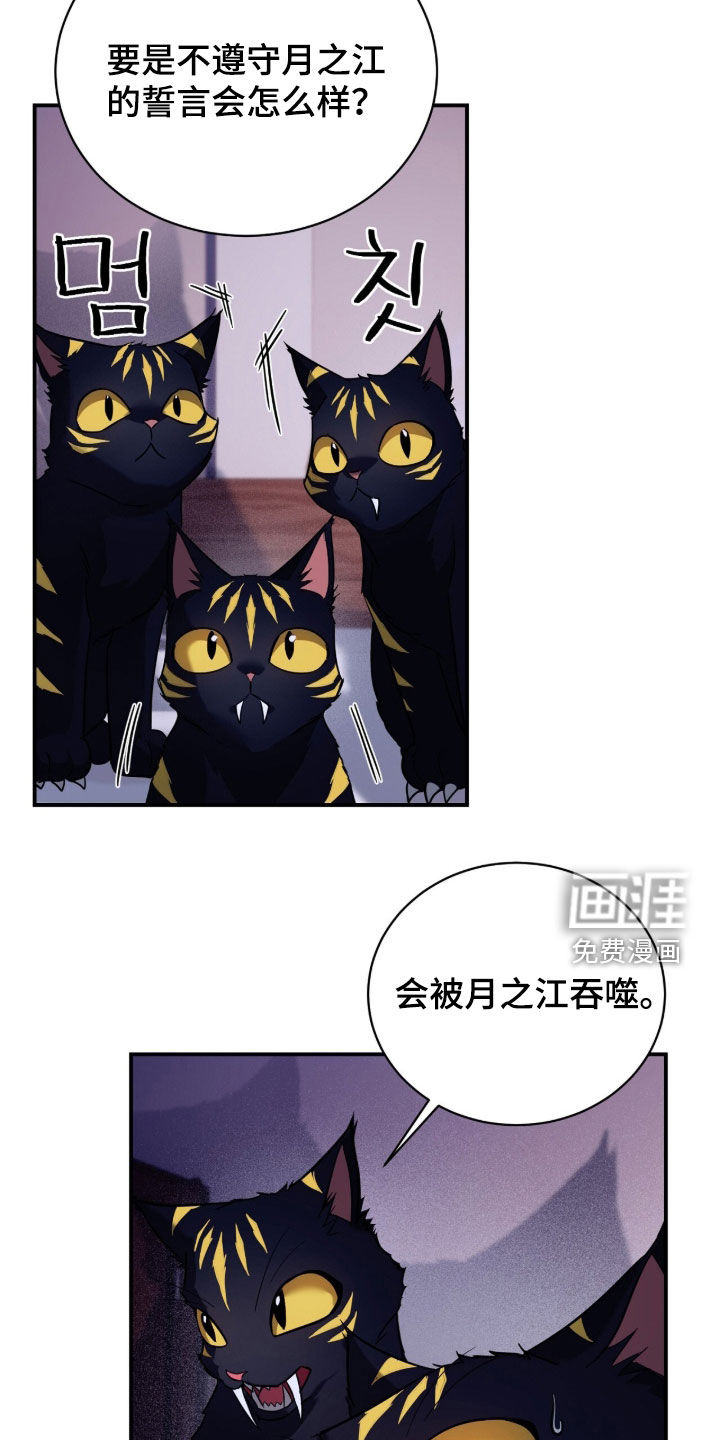 月夜誓言漫画-图14