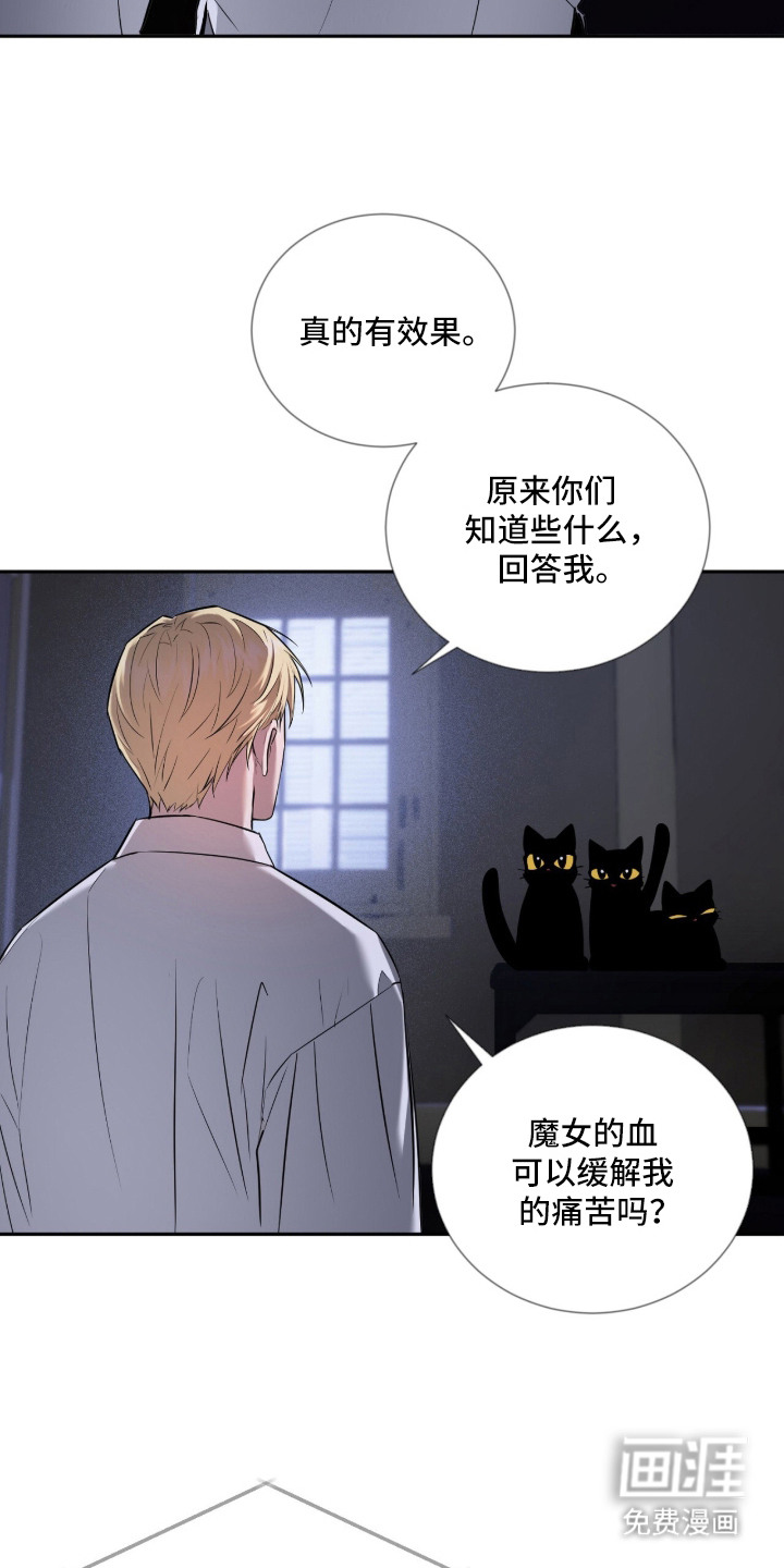 月夜誓言漫画-图5