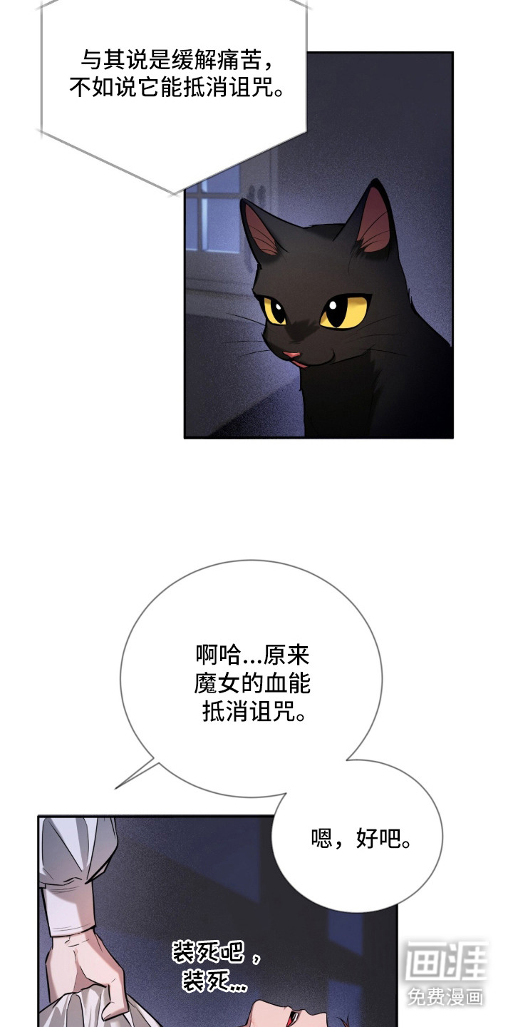 月夜誓言漫画-图6