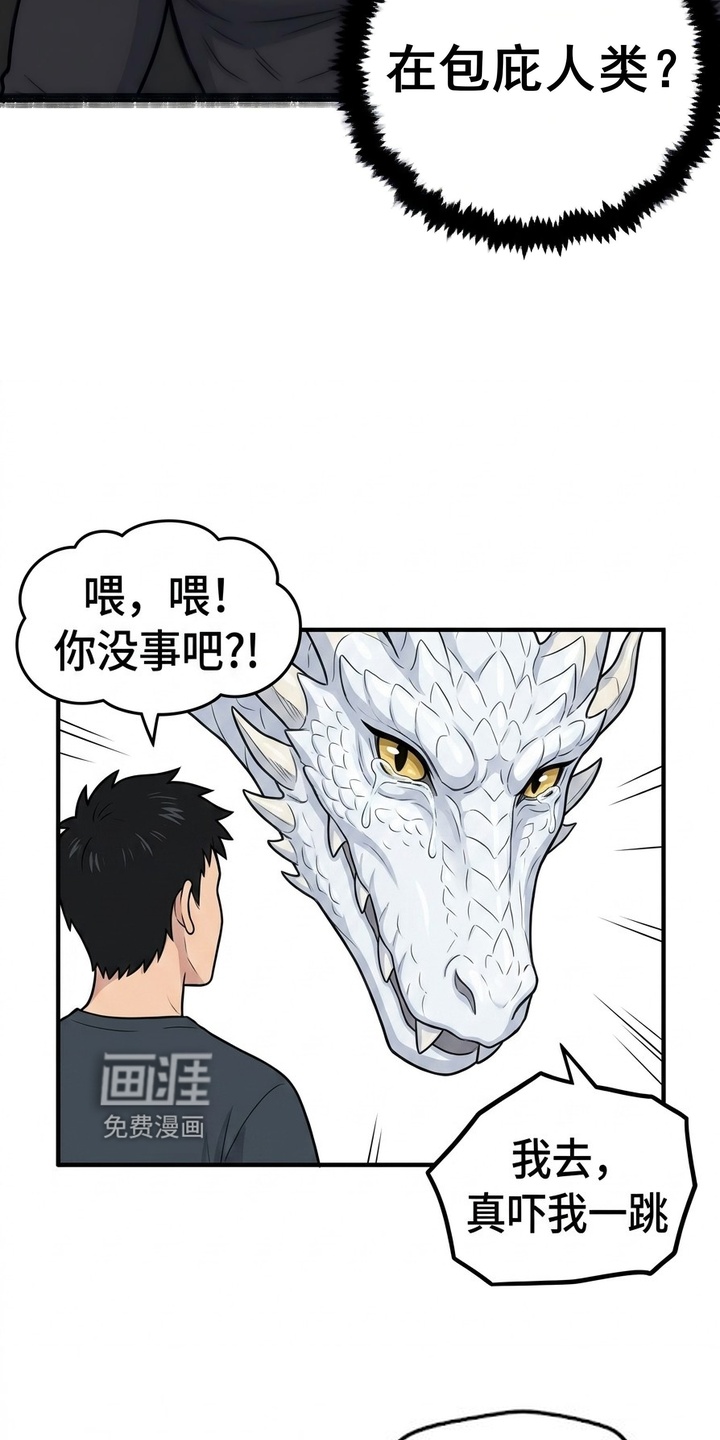 一觉睡醒我变成龙了漫画-图3