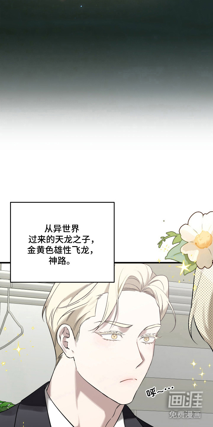 异世龙夫漫画-图13
