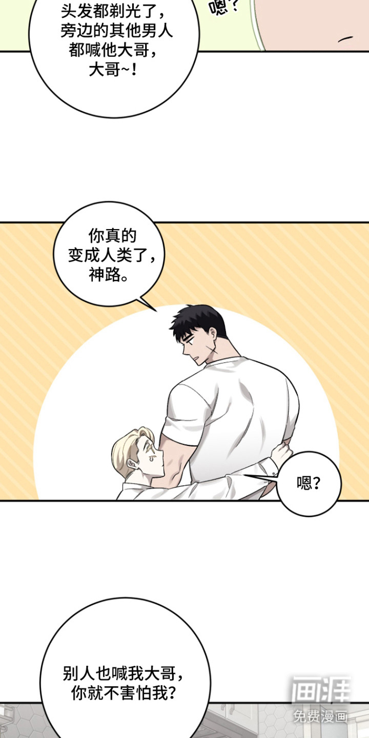 异世龙夫漫画-图6