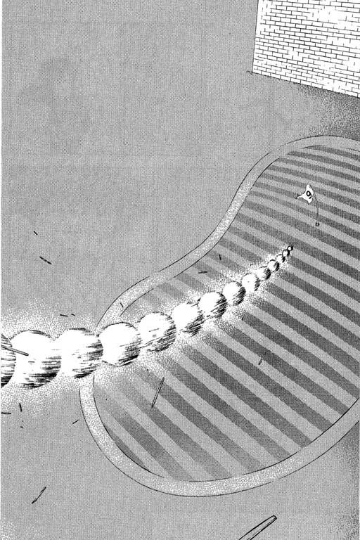 一杆冲天 第9卷 第80页