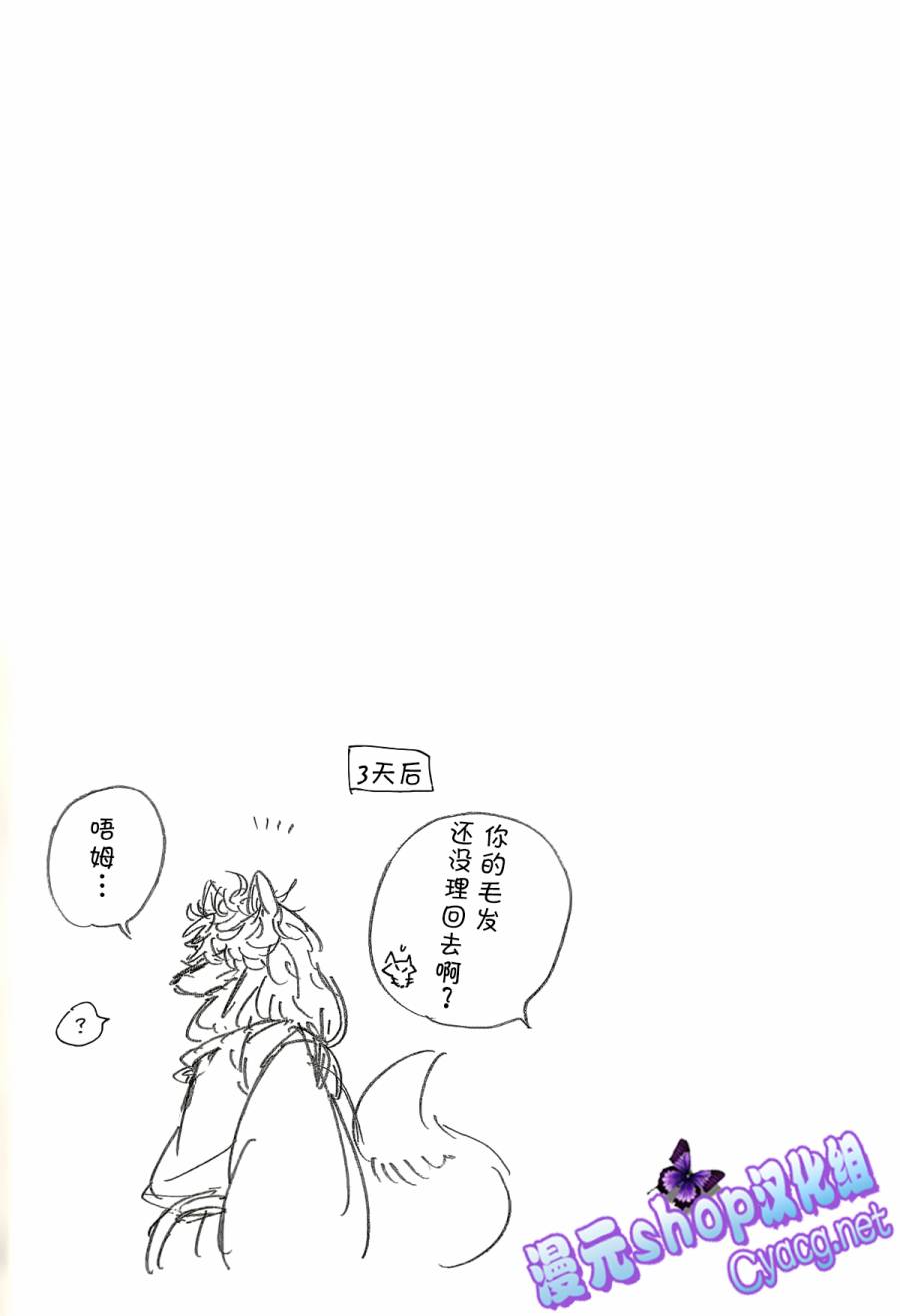 银狐第21话图