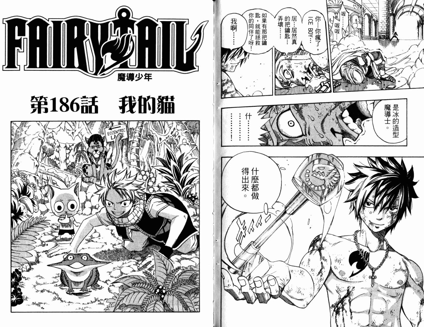 妖精的尾巴 第22卷 第75页