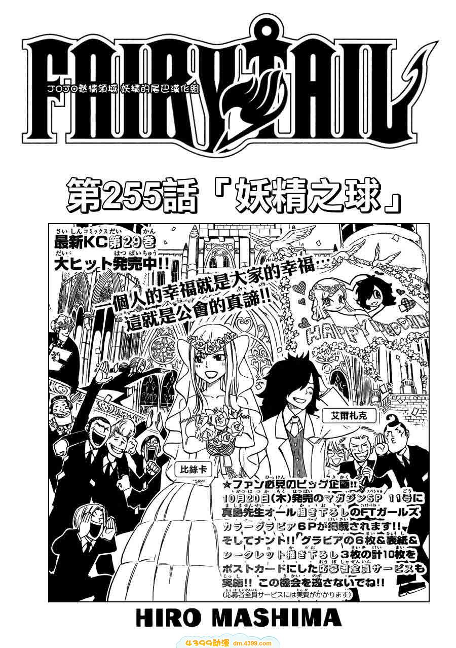 妖精的尾巴 第255话 第0页