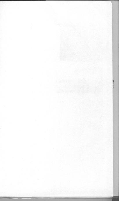 艺伎华丽的邂逅第3卷图