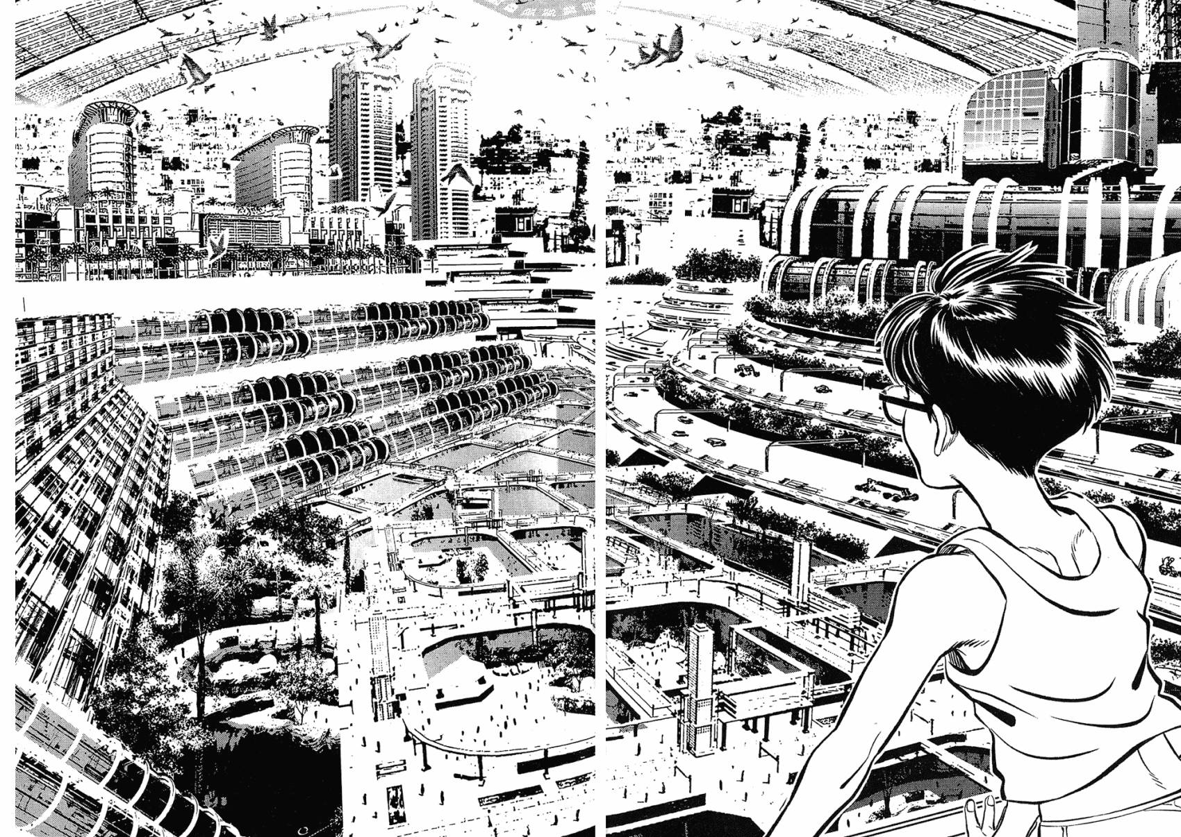 月亮的距离 第17卷 第87页