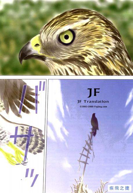 幻龙少女奥菲娜SAGA第2卷图