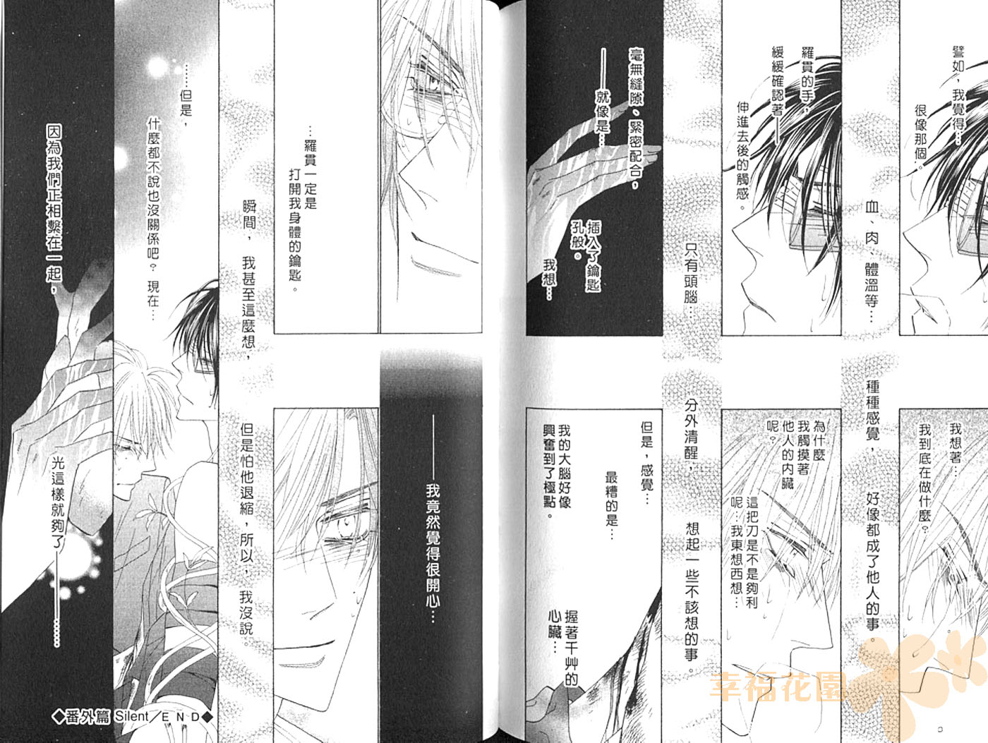 银色钻石第17卷图