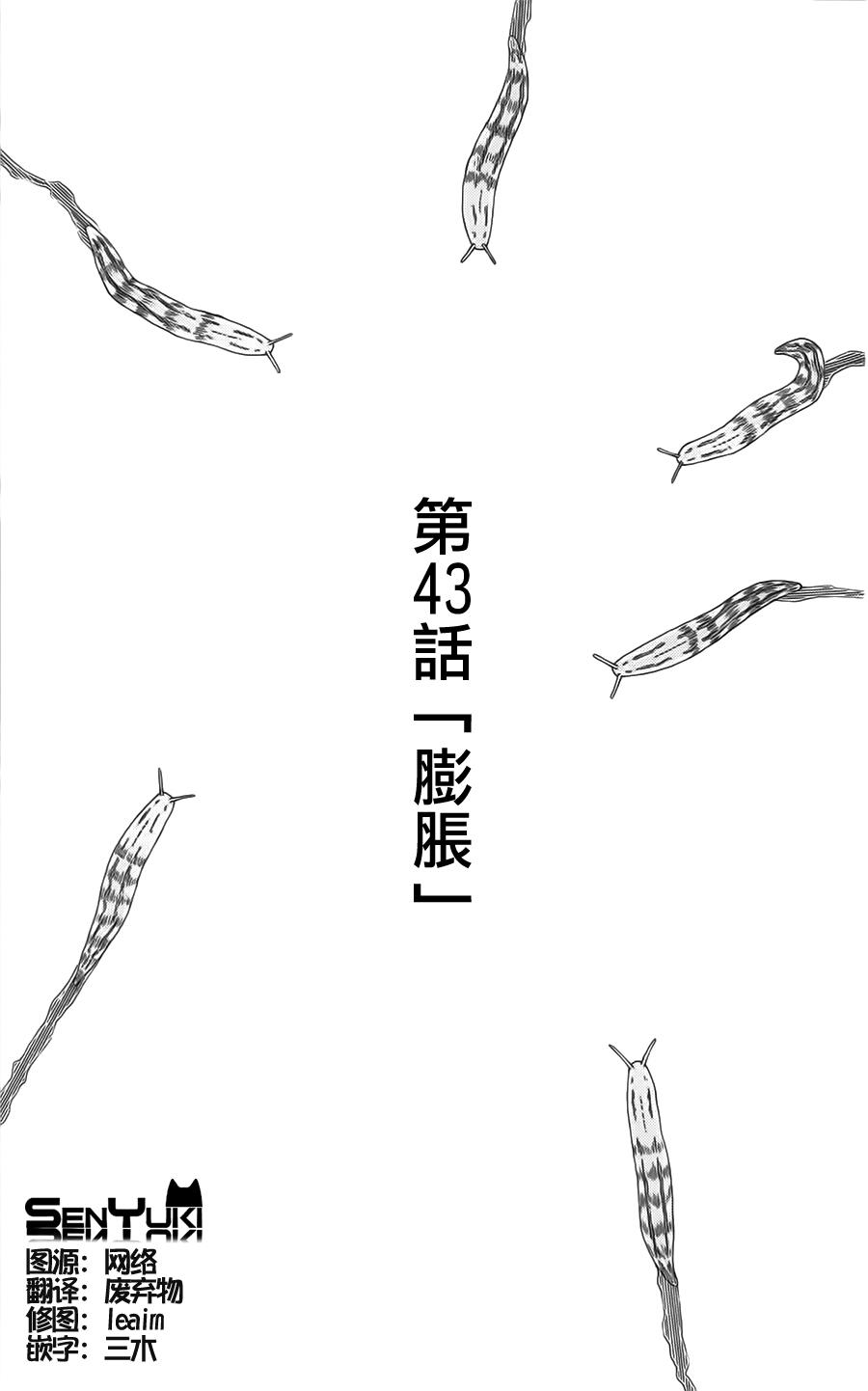 因为天空是灰色的第43话图