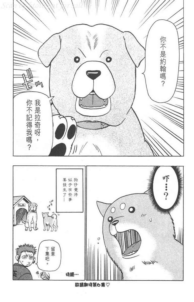 野性之声第5卷图