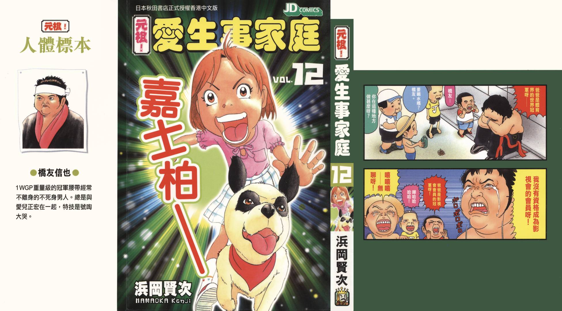 元祖！抓狂一族第12卷图