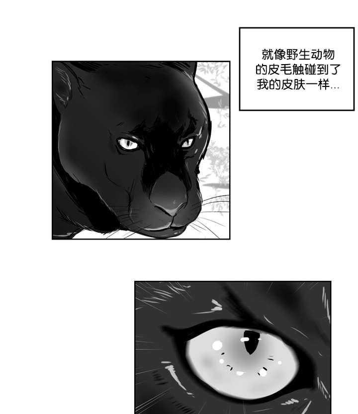 朱罗家族第17话图