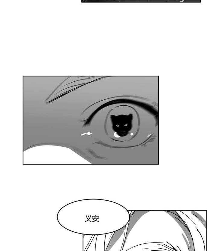 朱罗家族第17话图