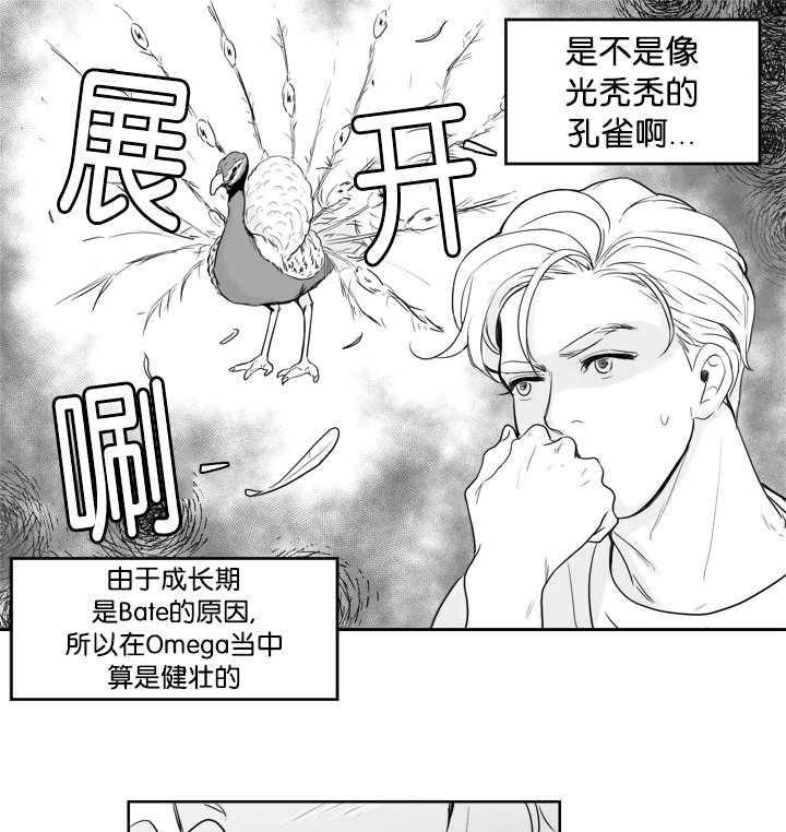 朱罗家族第18话图