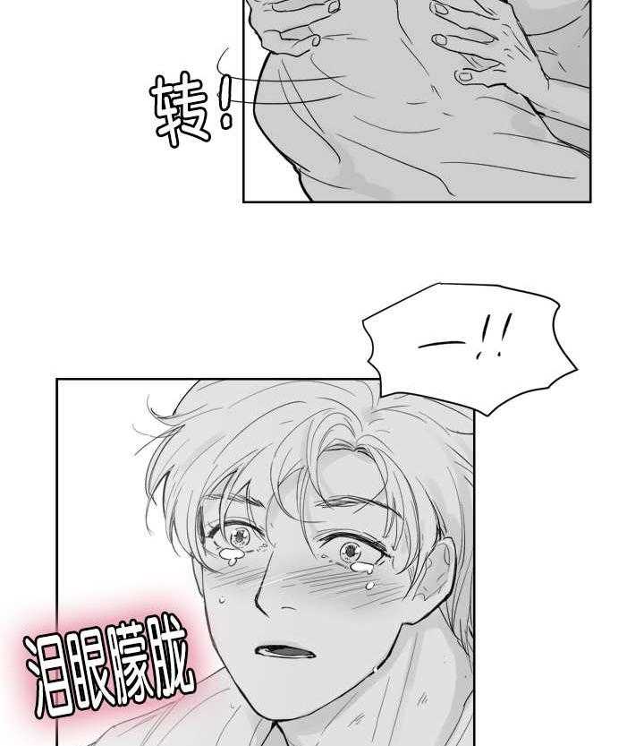 朱罗家族第31话图