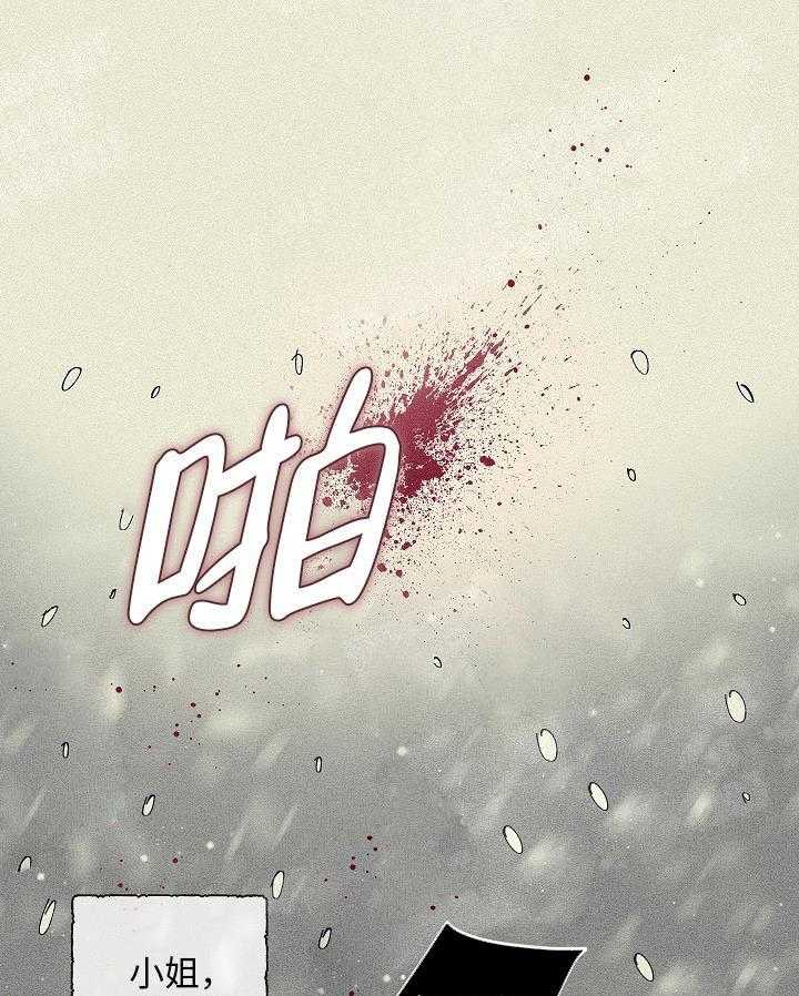 掌心之花第1话图