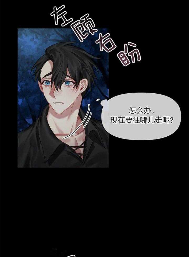 专属恶龙 第44话 第11页