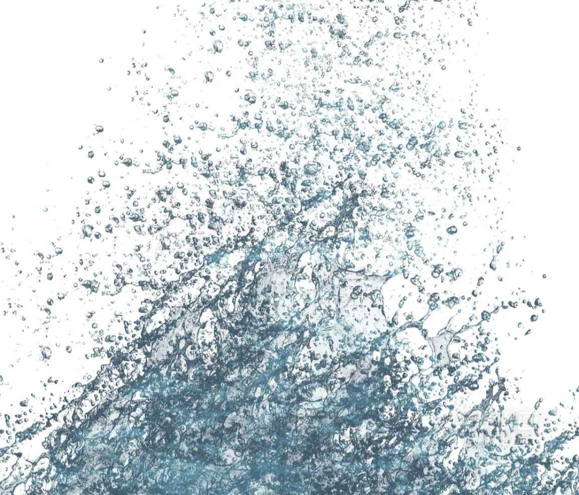 珍珠少年 第224话 第42页