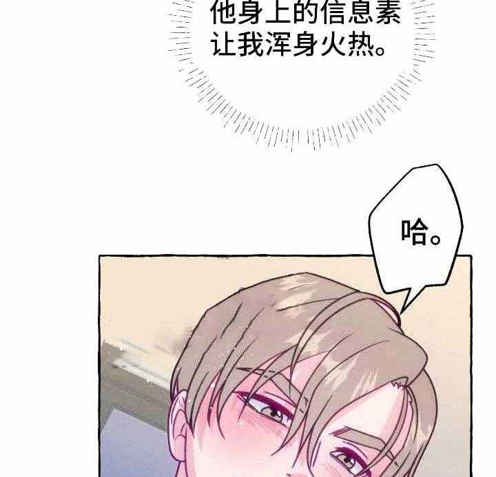 这里禁止偷拍第12话图