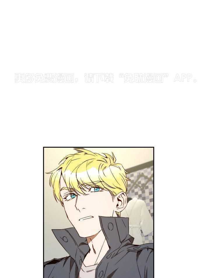 钻石神偷第36话图