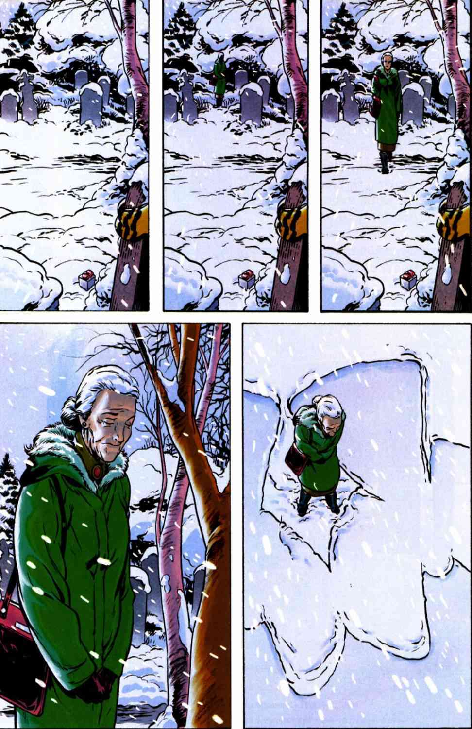 蜘蛛侠：落幕短篇图