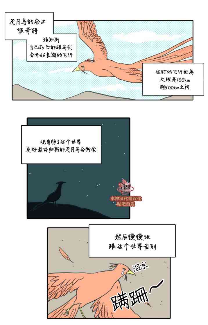 这种，勇气 22话 第11页