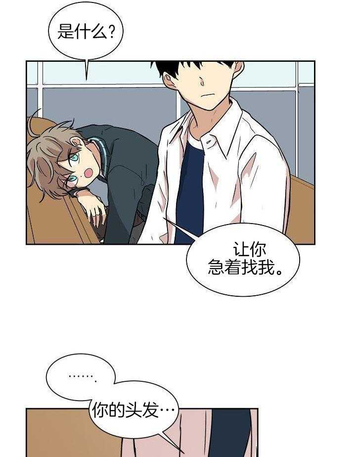 最佳拍档第11话图