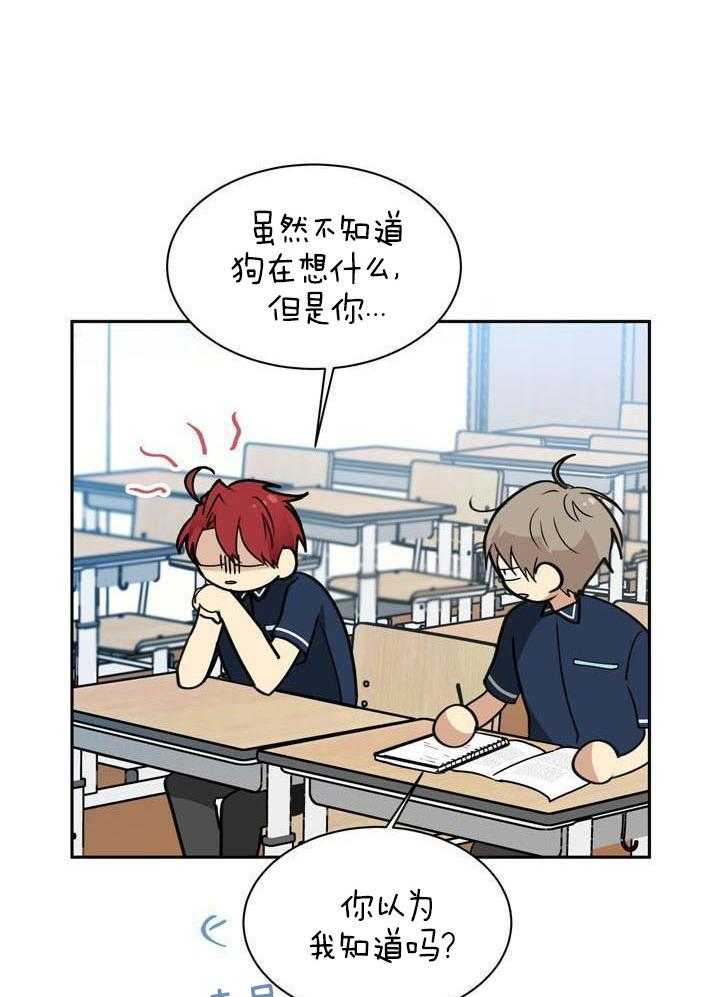 最佳拍档第129话图