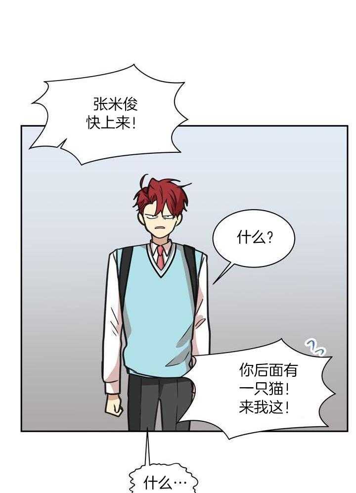 最佳拍档第145话图