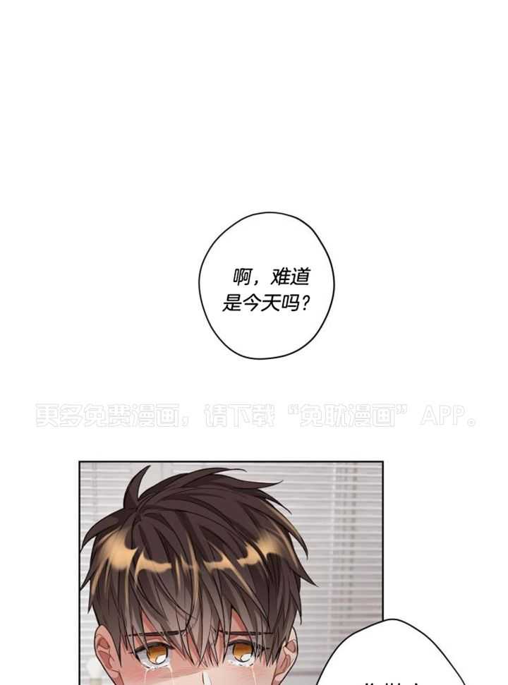 糟糕的计划（共2季）第100话图