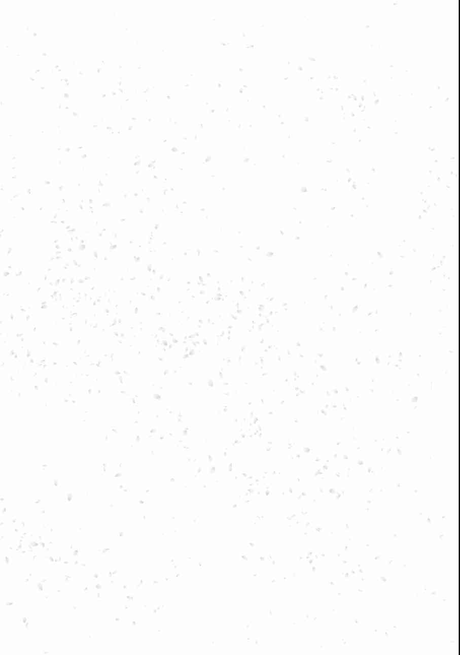 再会了，美好时光 寄予飞鹤 第8页