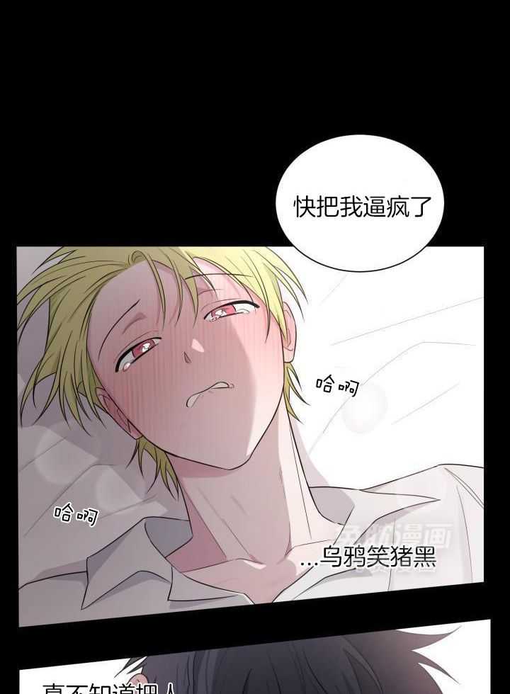 最萌体型差第12话图