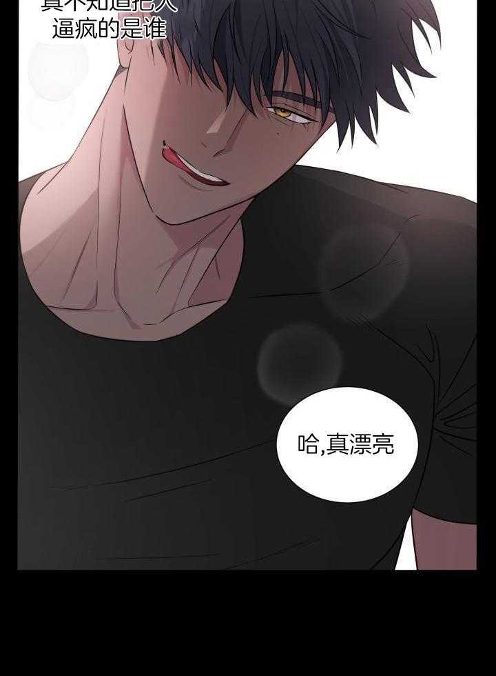 最萌体型差第12话图