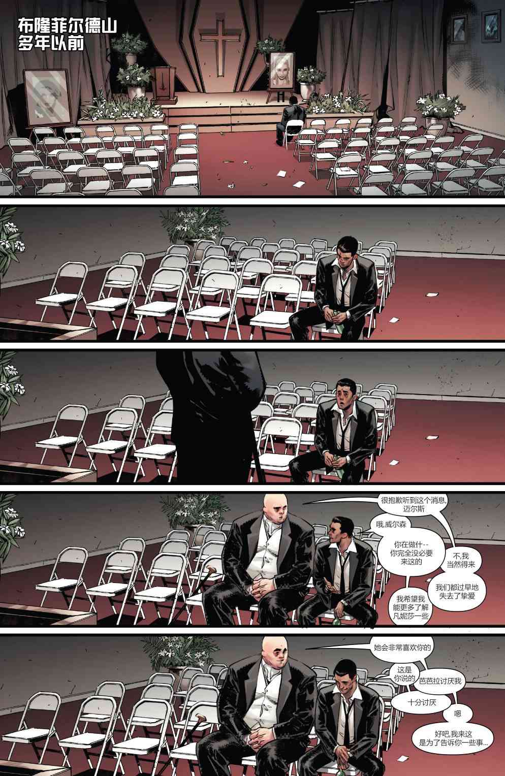 蜘蛛双侠II4卷图