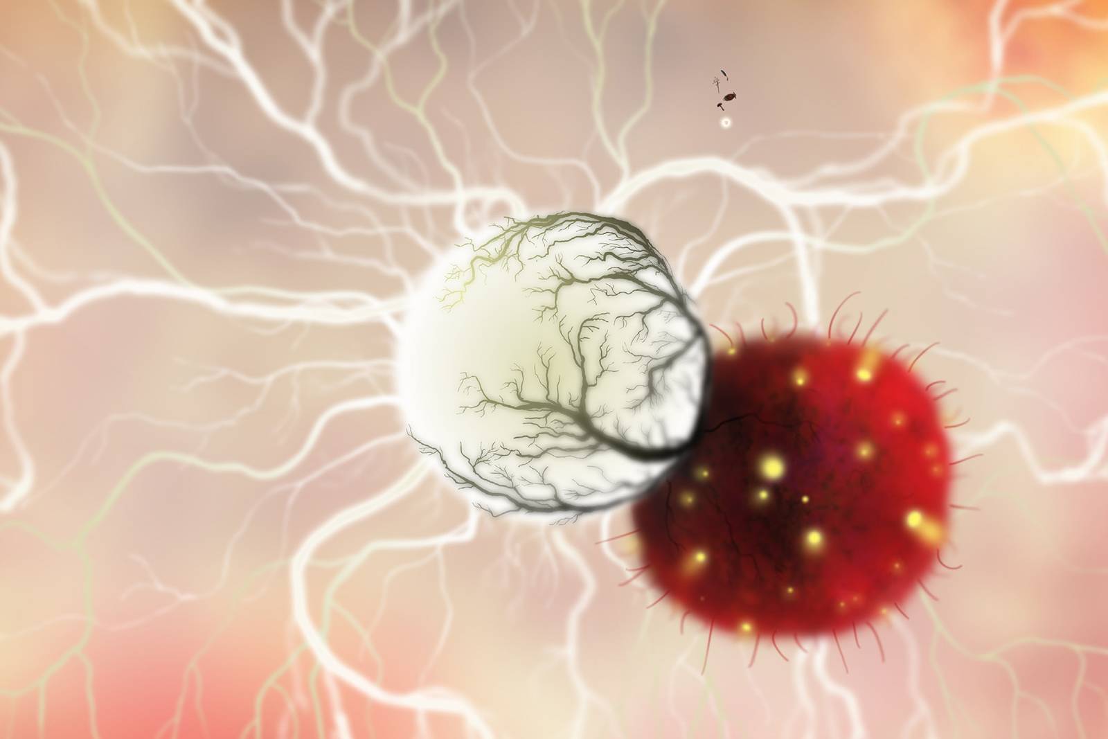 《植物精灵》数字画集 1话 第10页