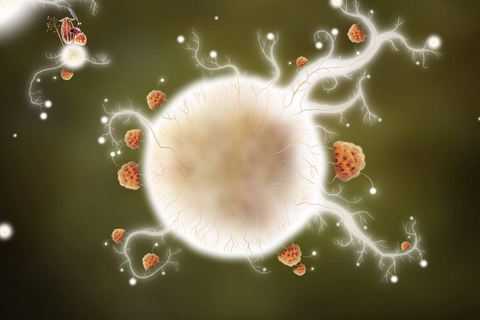 《植物精灵》数字画集 1话 第11页