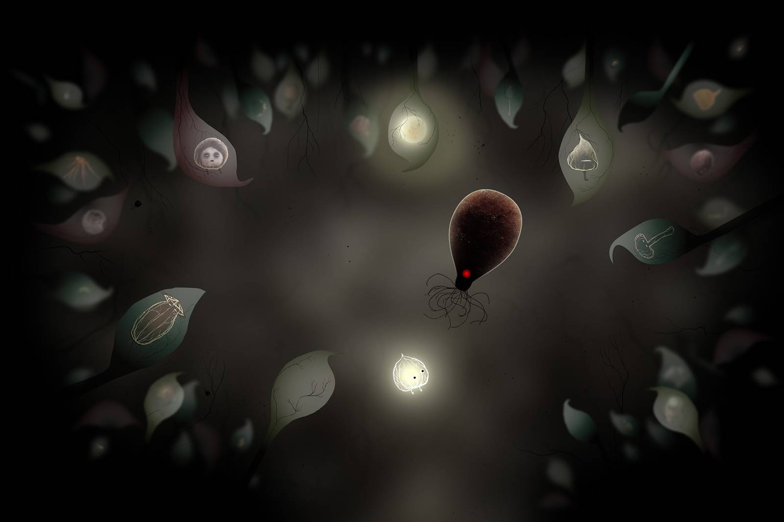 《植物精灵》数字画集 1话 第16页