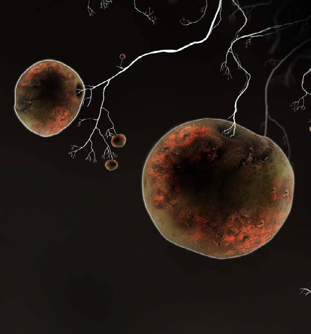 《植物精灵》数字画集 1话 第22页