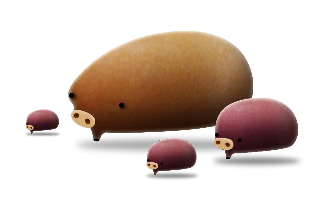 《植物精灵》数字画集 1话 第28页