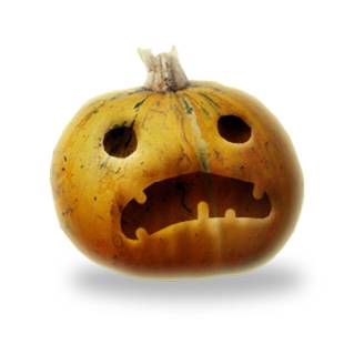 《植物精灵》数字画集 1话 第29页