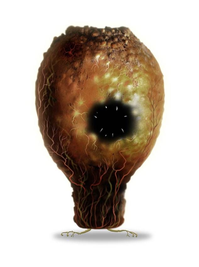 《植物精灵》数字画集 1话 第32页