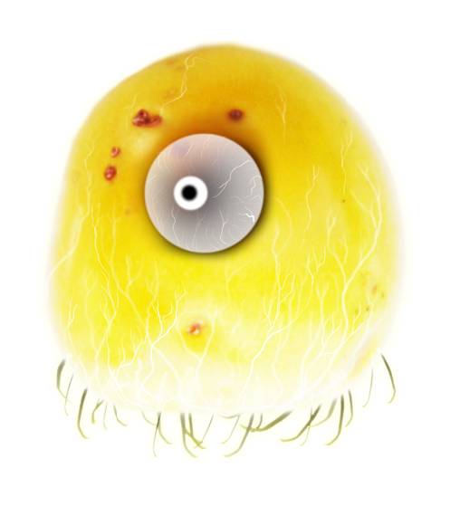 《植物精灵》数字画集 1话 第33页