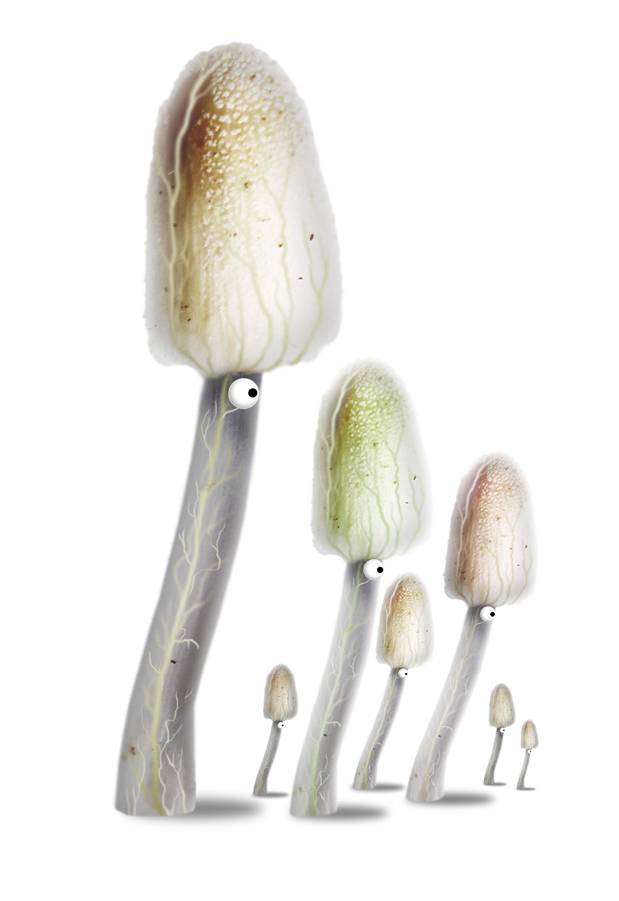 《植物精灵》数字画集 1话 第39页