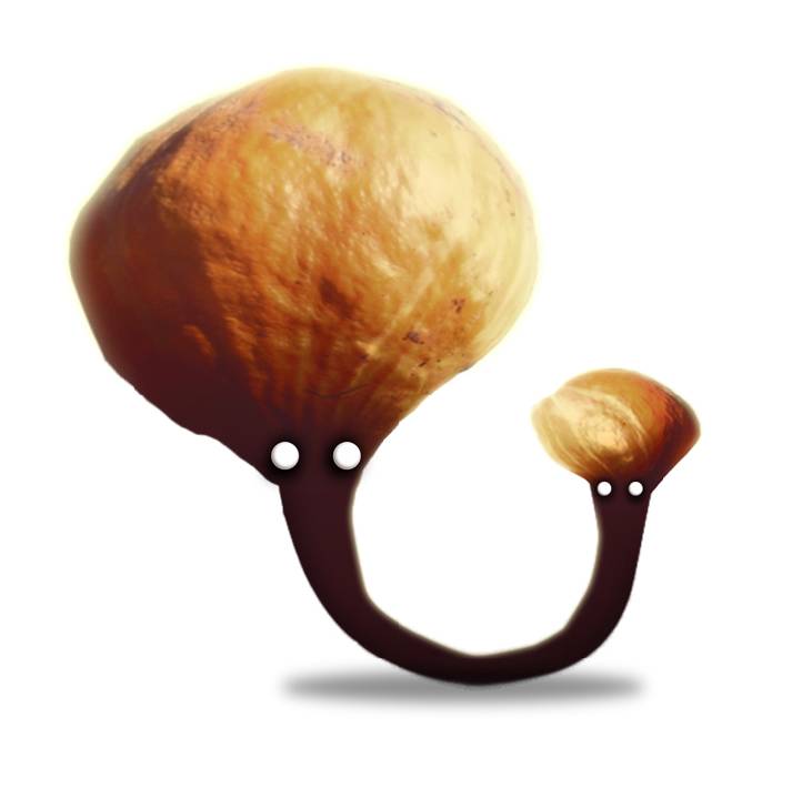 《植物精灵》数字画集 1话 第40页