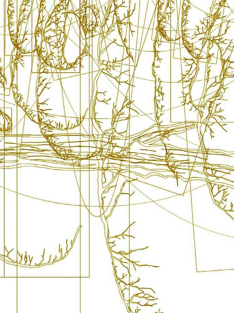 《植物精灵》数字画集 1话 第69页